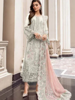 Organza Suit in Elegant Color